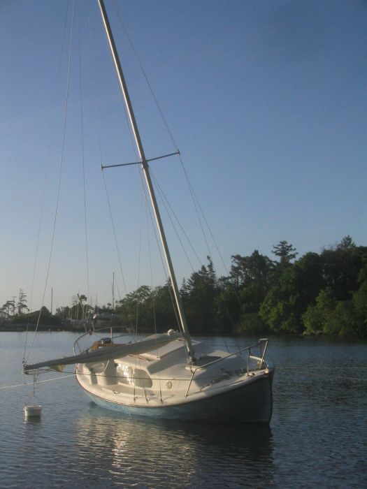 gal/2006-05-05 Careening/IMG_3123.jpg